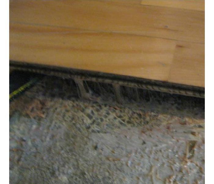 Photo of wood floor plank being pried up form a concrete slab